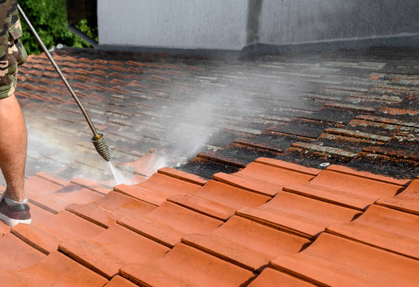 Best Affordable Power Washing  in Highland Heights, KY