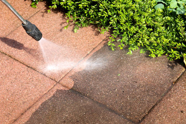 Best Roof Pressure Washing  in Highland Heights, KY
